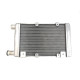 RADIATOR ITALCAR TASSO